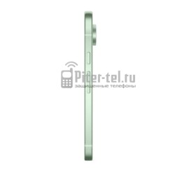 Смартфон Google Pixel 9 12/128Gb Global Wintergreen